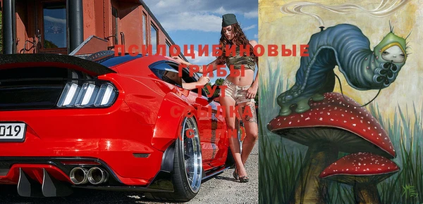 эйфоретик Новодвинск